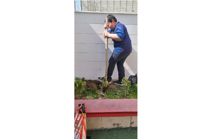 روز درختکاری 2