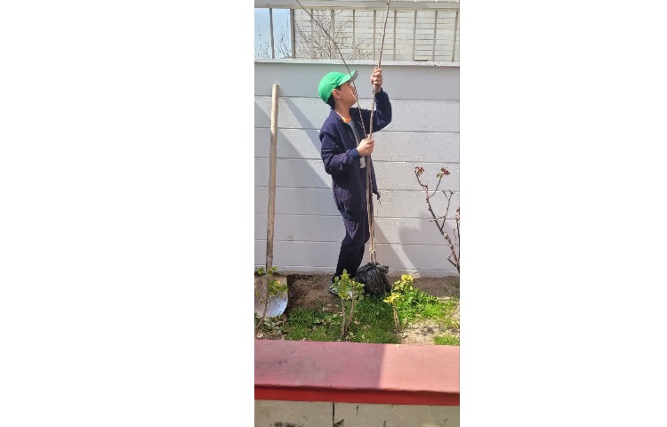 روز درختکاری 2