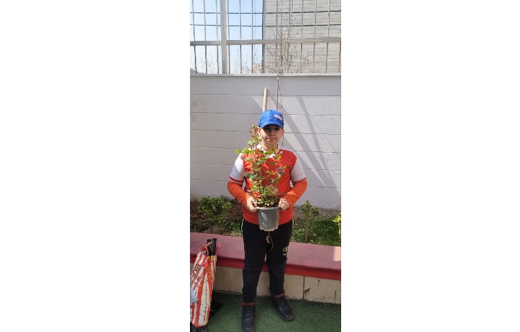 روز درختکاری 2