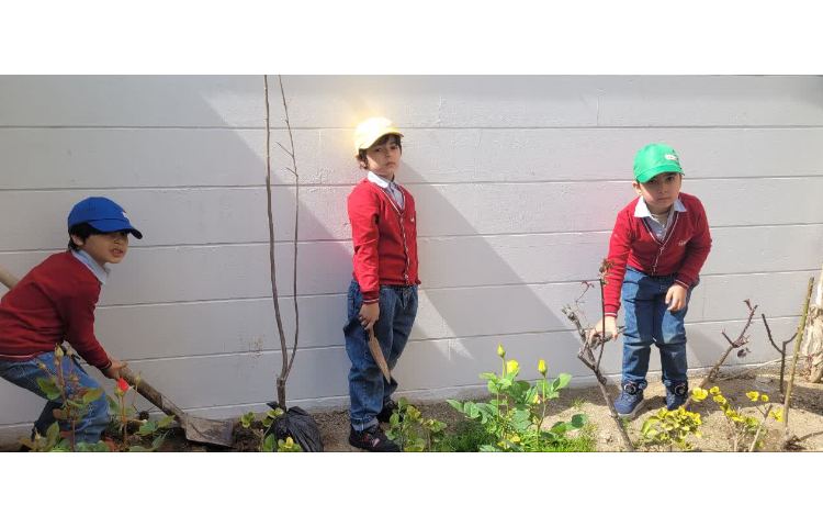 روز درختکاری 2