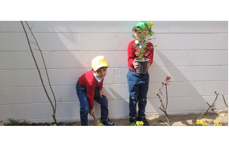 روز درختکاری 2