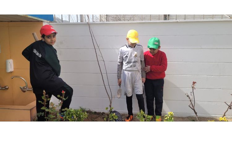 روز درختکاری 2