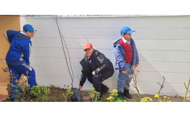 روز درختکاری 2