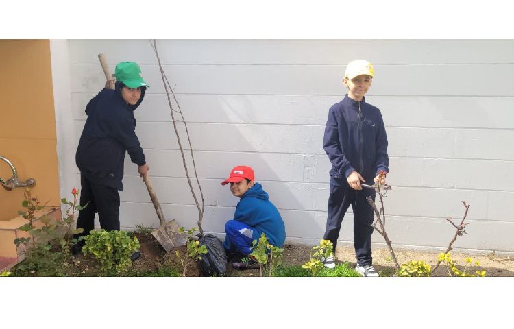 روز درختکاری 2