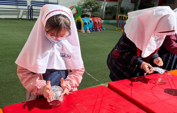 روز درختکاری 3