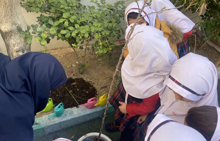 روز درختکاری 3