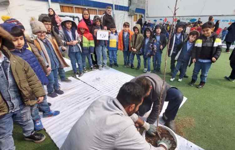 روز درختکاری 3