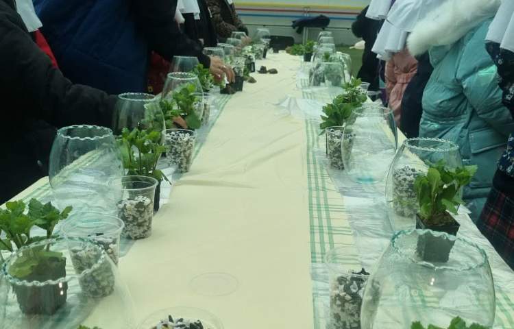 روز درختکاری 3