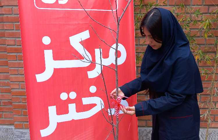 روز درختکاری 3