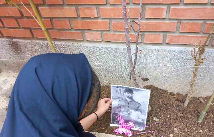 روز درختکاری 3