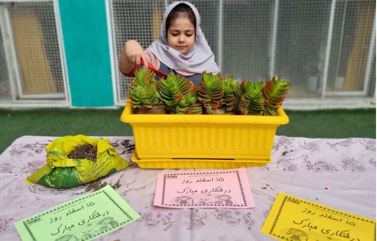 روز درختکاری 3