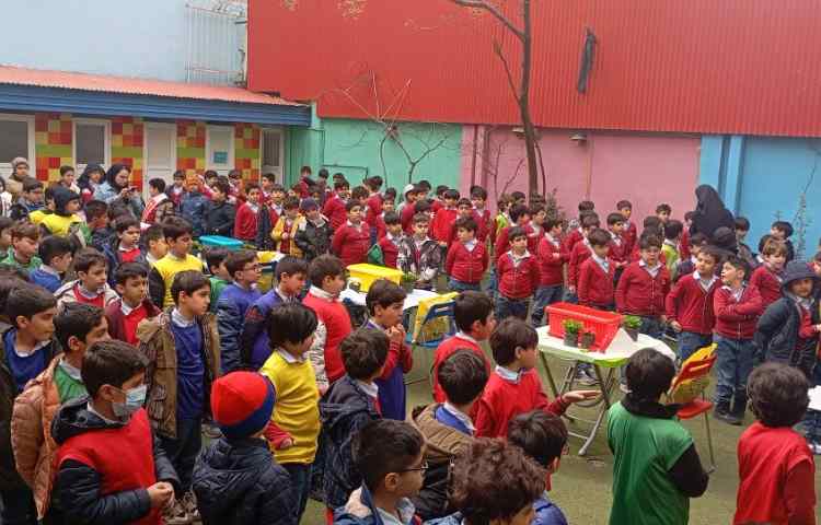 روز درختکاری 3