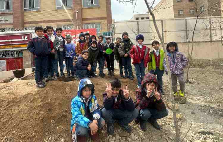 روز درختکاری 3