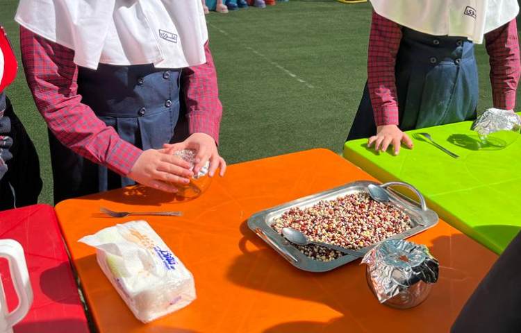 روز درختکاری 4