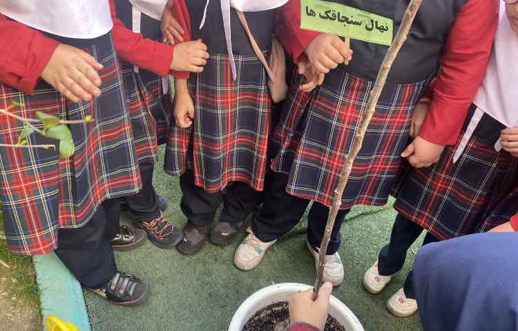 روز درختکاری 4