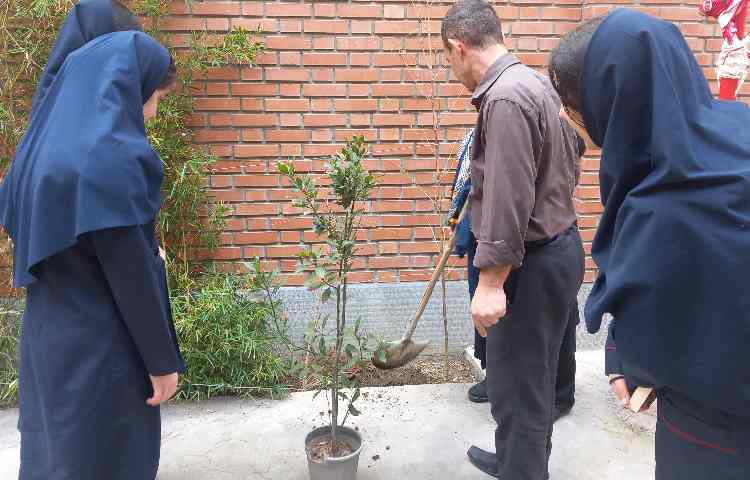 روز درختکاری 4