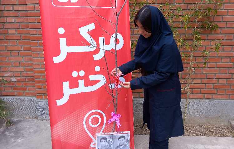 روز درختکاری 4