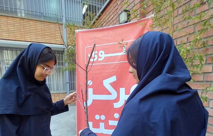 روز درختکاری 4