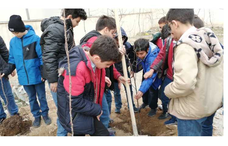 روز درختکاری 4