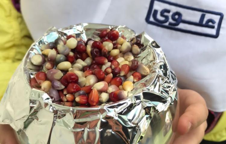 روز درختکاری 5