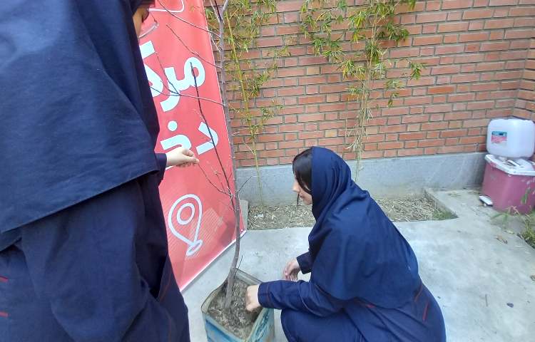 روز درختکاری 5