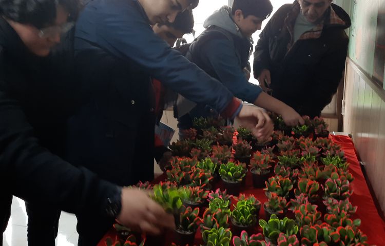 روز درختکاری 5