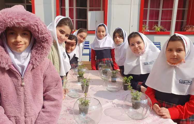 روز درختکاری 5