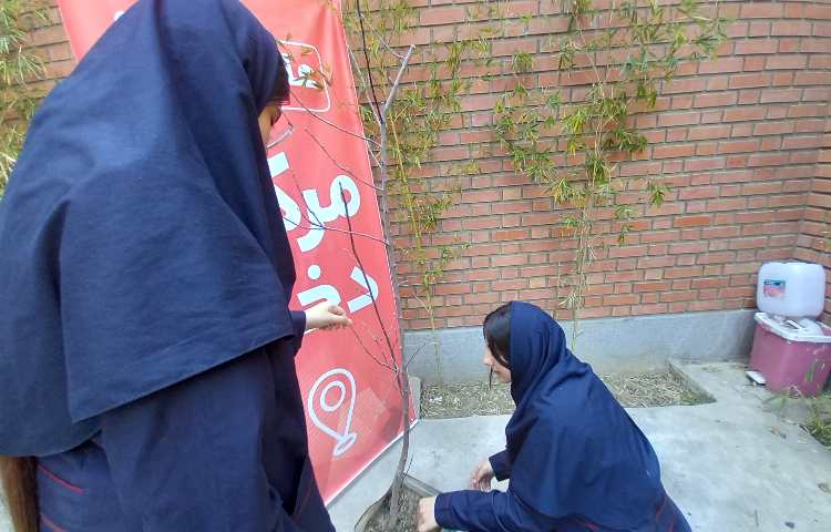 روز درختکاری 5