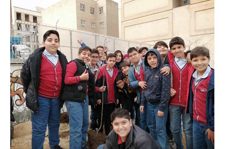 روز درختکاری 5