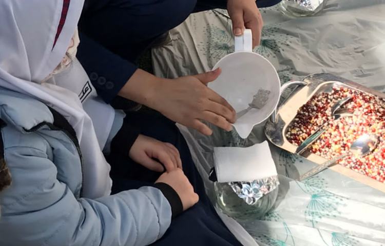 روز درختکاری 6