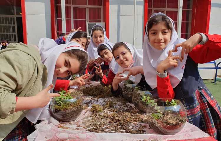 روز درختکاری 6