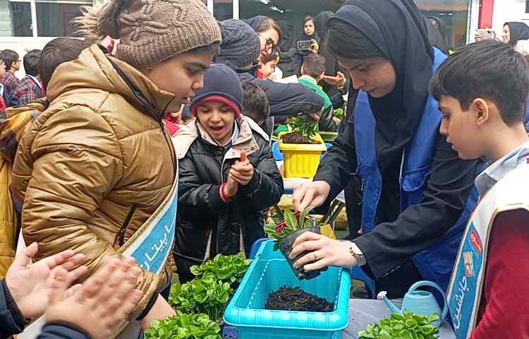 روز درختکاری 6