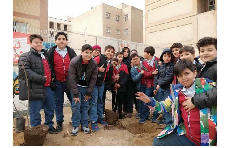 روز درختکاری 6