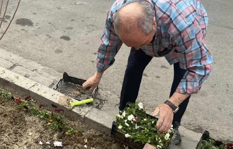 روز درختکاری 7