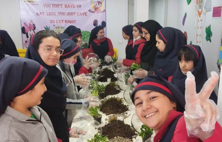 روز درختکاری 7