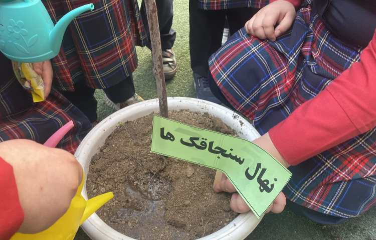 روز درختکاری 7