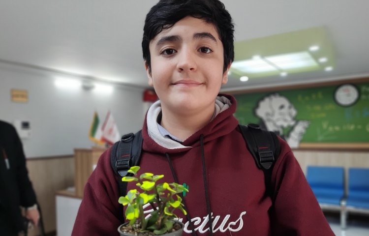 روز درختکاری 7