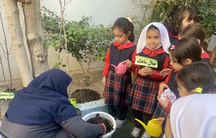 روز درختکاری 8