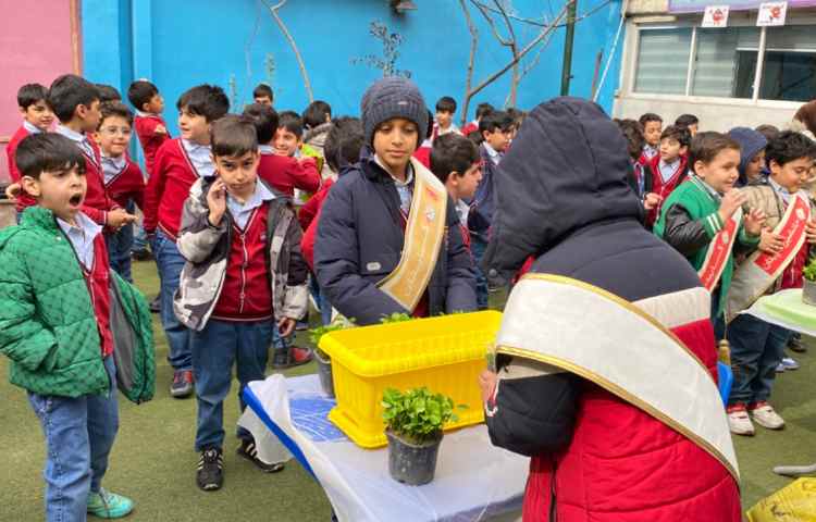 روز درختکاری 9