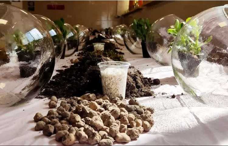 روز درختکاری