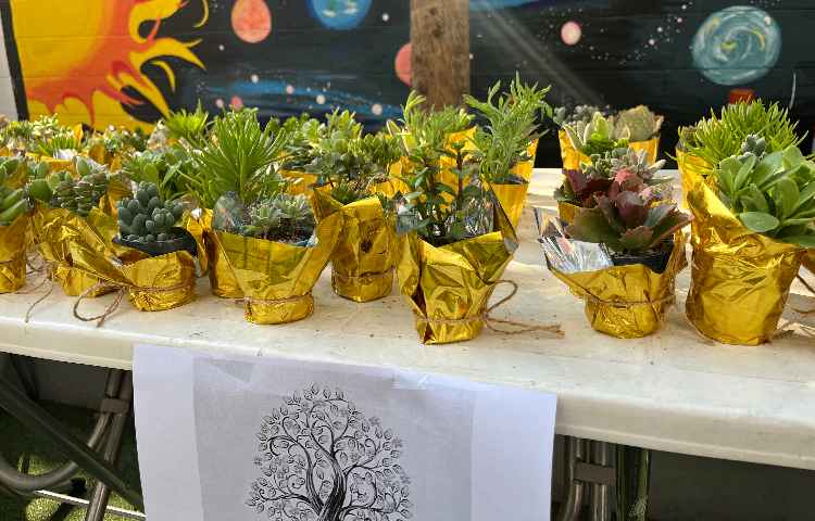 روز درختکاری