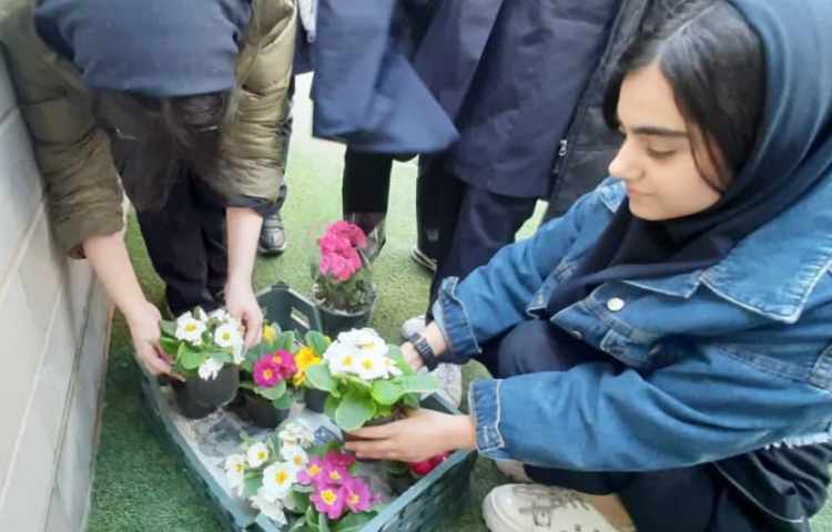 روز درخت کاری در متوسطه دخترانه دوره اول علوی 2