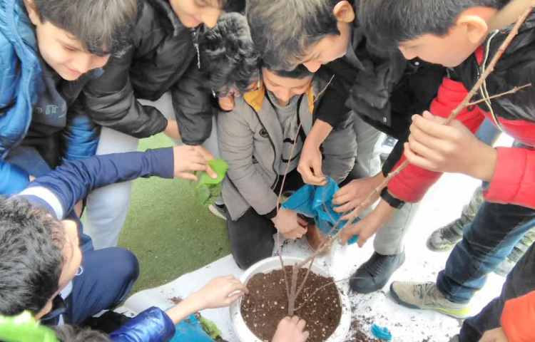 روز درخت کاری و کاشت درخت توسط دانش آموزان پایه ششم 1