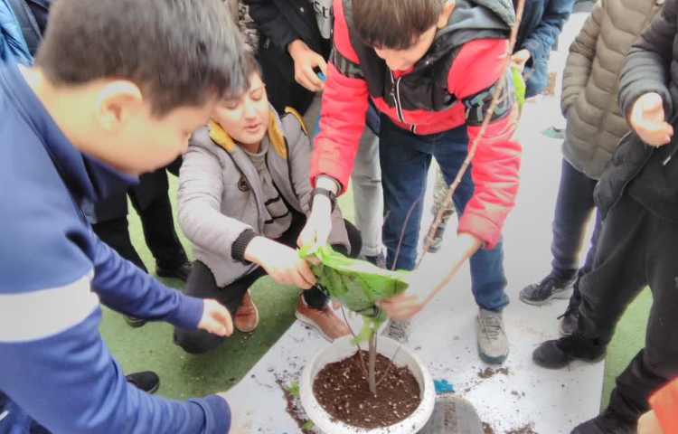 روز درخت کاری و کاشت درخت توسط دانش آموزان پایه ششم 4
