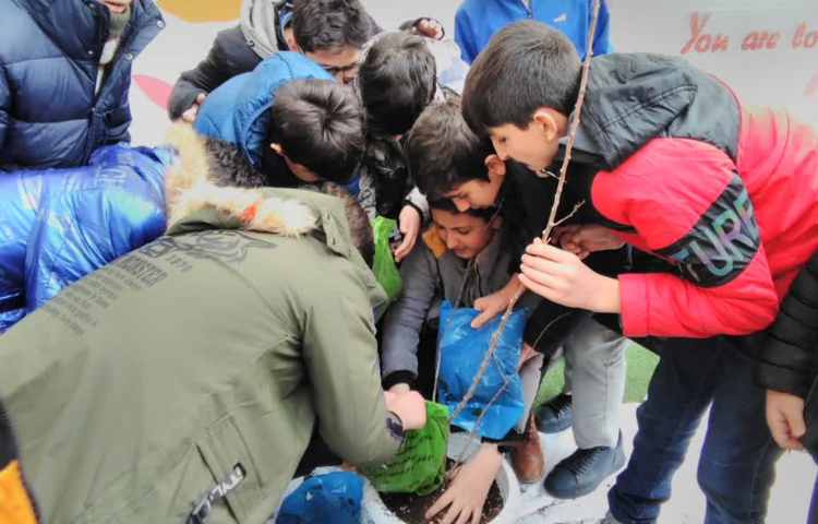 روز درخت کاری و کاشت درخت توسط دانش آموزان پایه ششم 5