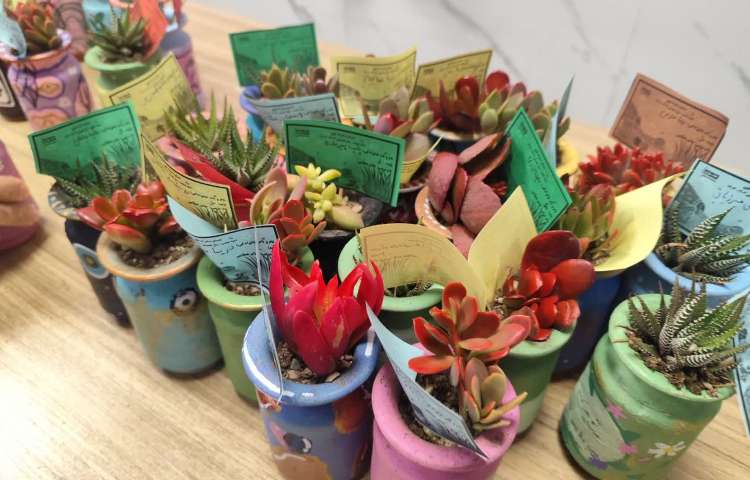 روز درخت کاری 13