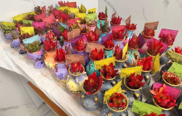 روز درخت کاری 14