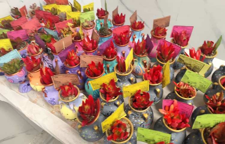 روز درخت کاری 19