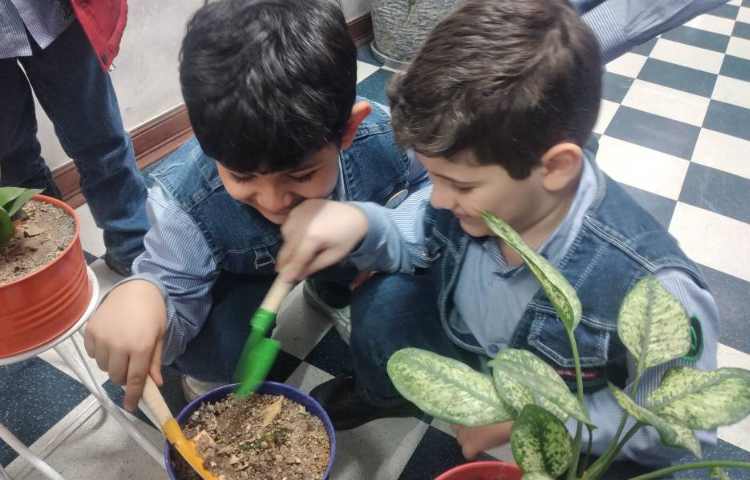 روز صلح با طبیعت 10