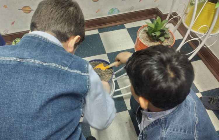 روز صلح با طبیعت 11